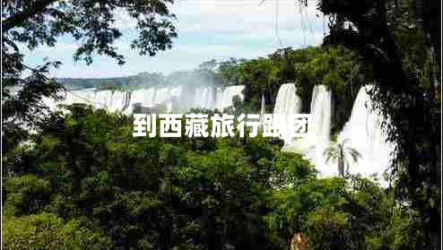 到西藏旅行跟團
