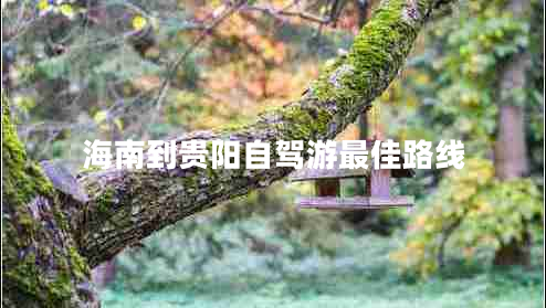 海南到貴陽(yáng)自駕游最佳路線(xiàn)