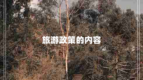 旅游政策的內容