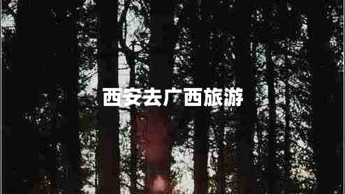 西安去廣西旅游