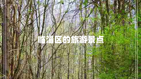臨淄區的旅游景點(diǎn)