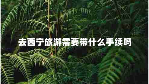 去西寧旅游需要帶什么手續嗎