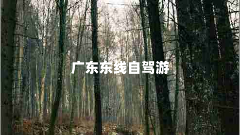 廣東東線(xiàn)自駕游