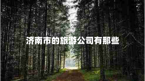 濟南市的旅游公司有那些