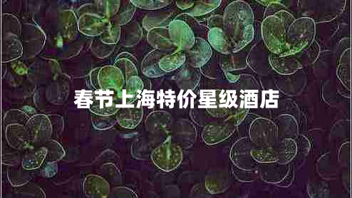 春節上海特價(jià)星級酒店