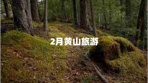 2月黃山旅游