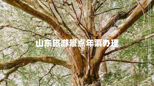 山東旅游景點(diǎn)年票辦理