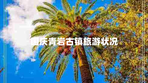 國慶青巖古鎮旅游狀況