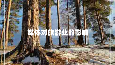 媒體對旅游業(yè)的影響