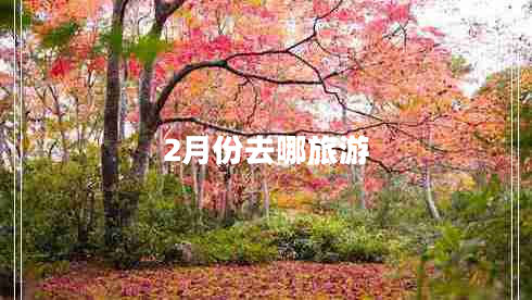 2月份去哪旅游