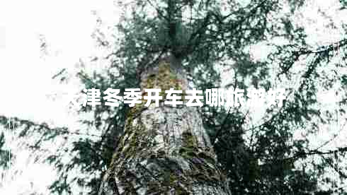 天津冬季開(kāi)車(chē)去哪旅游好