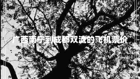 廣西南寧到成都雙流的飛機票價(jià)