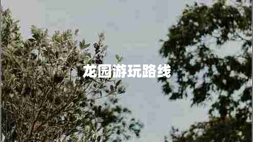 龍園游玩路線(xiàn)