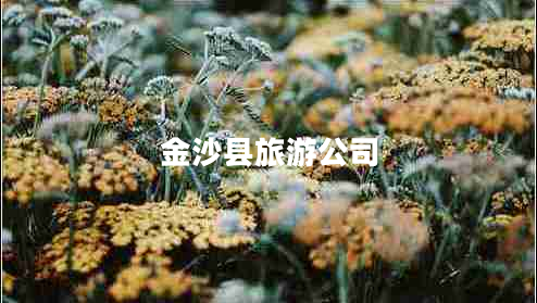 金沙縣旅游公司