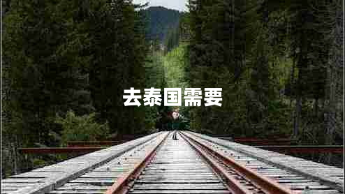 去泰國需要