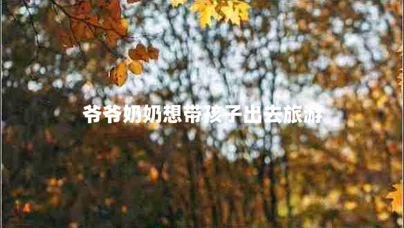 爺爺奶奶想帶孩子出去旅游