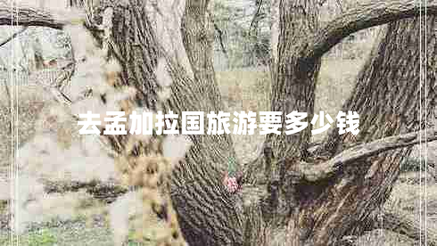 去孟加拉國旅游要多少錢(qián)