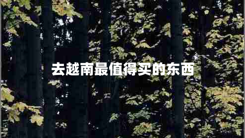 去越南最值得買(mǎi)的東西