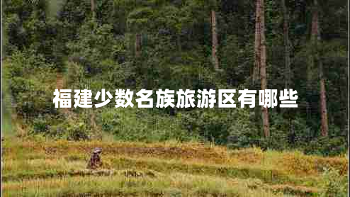 福建少數名族旅游區有哪些