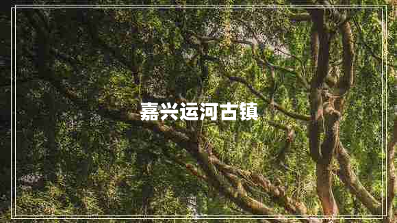 嘉興運河古鎮