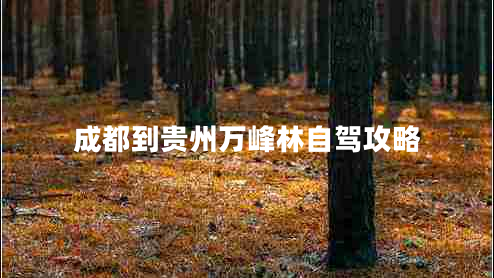 成都到貴州萬(wàn)峰林自駕攻略