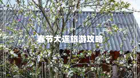 春節大連旅游攻略
