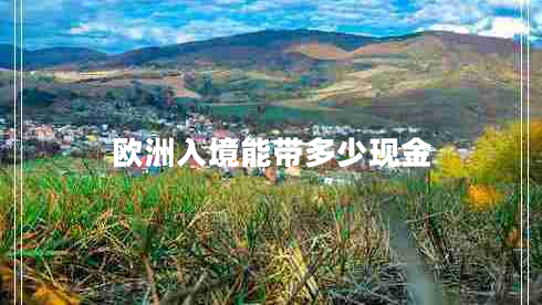 歐洲入境能帶多少現金