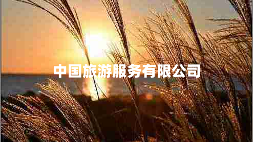 中國旅游服務(wù)有限公司