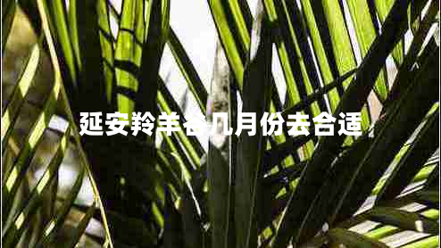 延安羚羊谷幾月份去合適