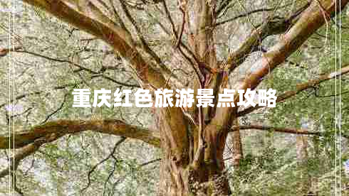 重慶紅色旅游景點(diǎn)攻略