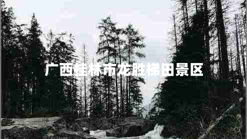 廣西桂林市龍勝梯田景區