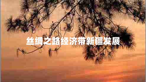 絲綢之路經(jīng)濟帶新疆發(fā)展
