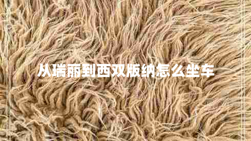 從瑞麗到西雙版納怎么坐車(chē)