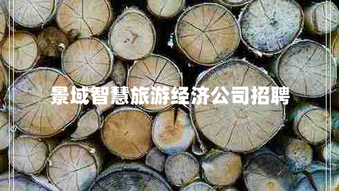 景域智慧旅游經(jīng)濟公司招聘