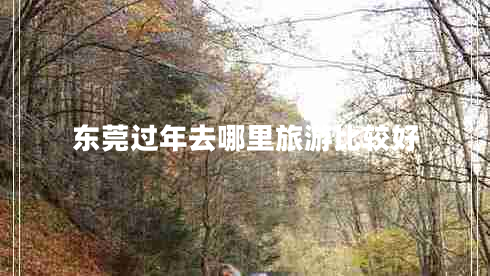 東莞過(guò)年去哪里旅游比較好