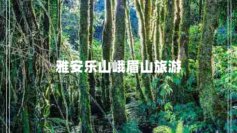 雅安樂(lè )山峨眉山旅游