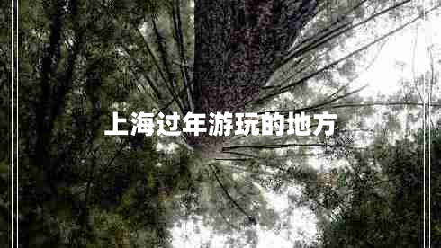 上海過(guò)年游玩的地方