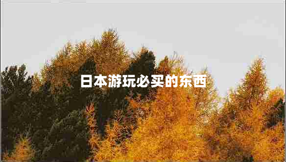 日本游玩必買(mǎi)的東西