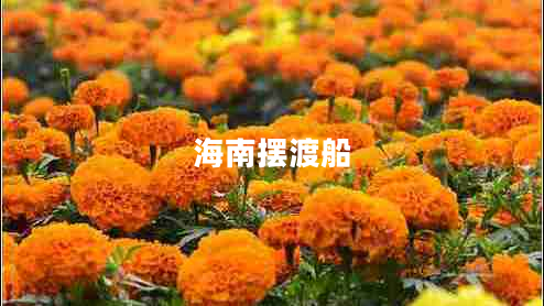 海南擺渡船