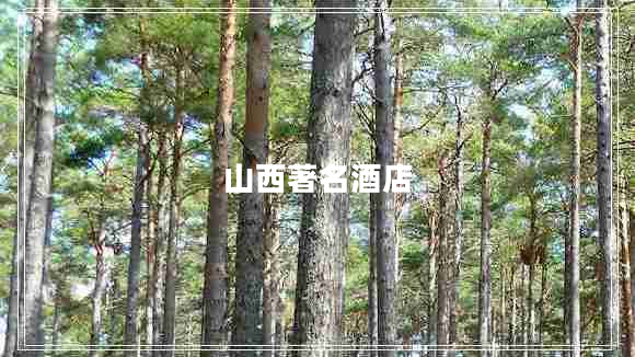 山西著(zhù)名酒店