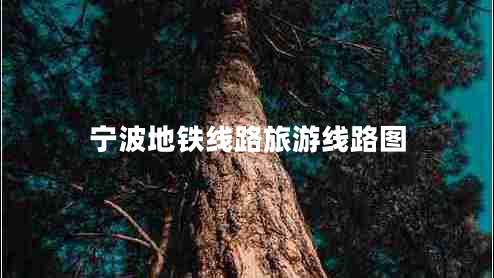 寧波地鐵線(xiàn)路旅游線(xiàn)路圖