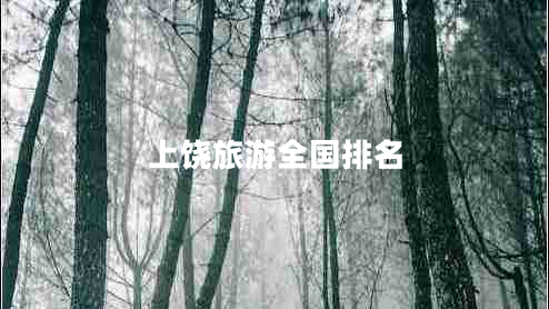 上饒旅游全國排名