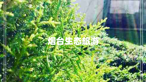 煙臺生態(tài)旅游
