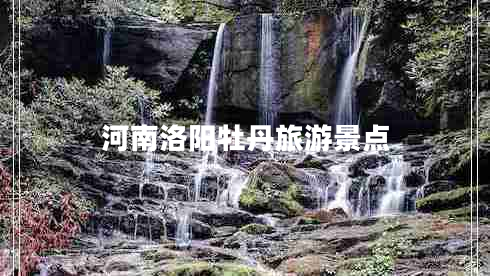 河南洛陽(yáng)牡丹旅游景點(diǎn)