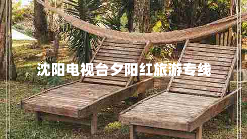 沈陽(yáng)電視臺夕陽(yáng)紅旅游專(zhuān)線(xiàn)