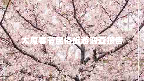 太原春節民俗旅游調查報告