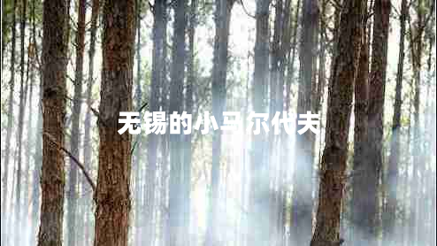 無(wú)錫的小馬爾代夫