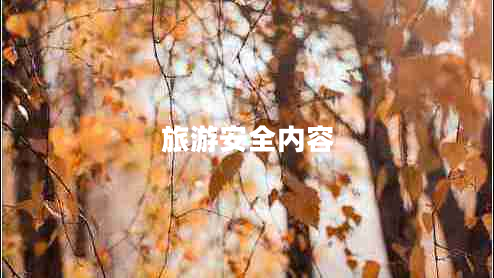 旅游安全內容