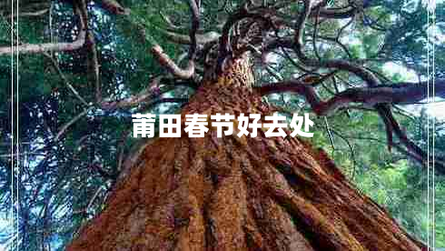 莆田春節好去處