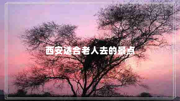 西安適合老人去的景點(diǎn)